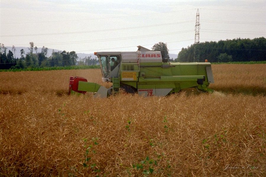 Claas Drescher 03
